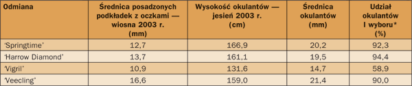 Parametry drzewek brzoskwiń wyprodukowanych w cyklu jednorocznym w szkółce (Skierniewice, 2003 r.)