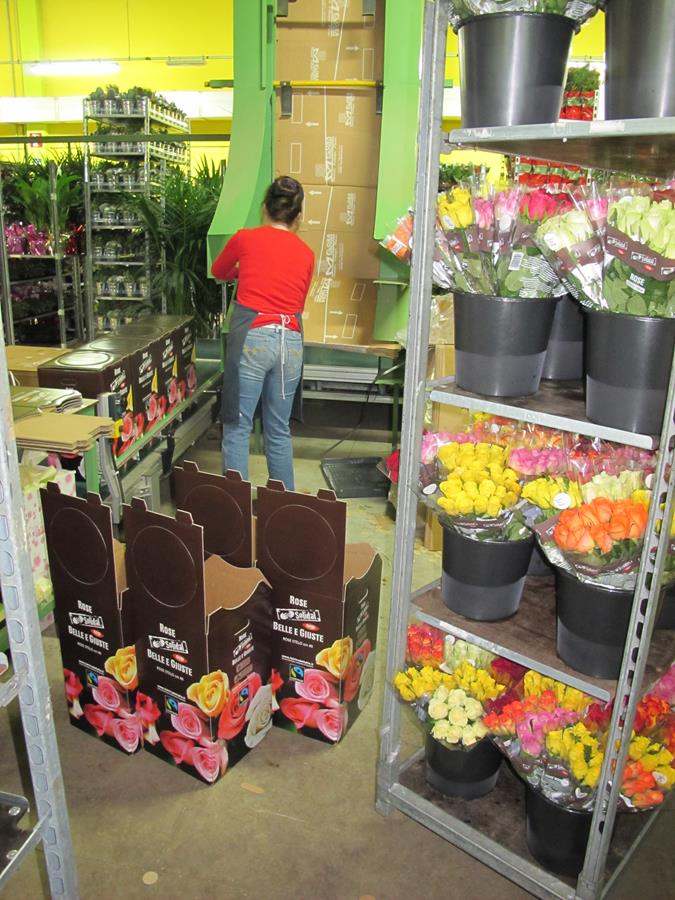 W Niemczech wzrosła sprzedaż kwiatów ciętych, fot. W. Górka