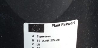 Paszport roślin