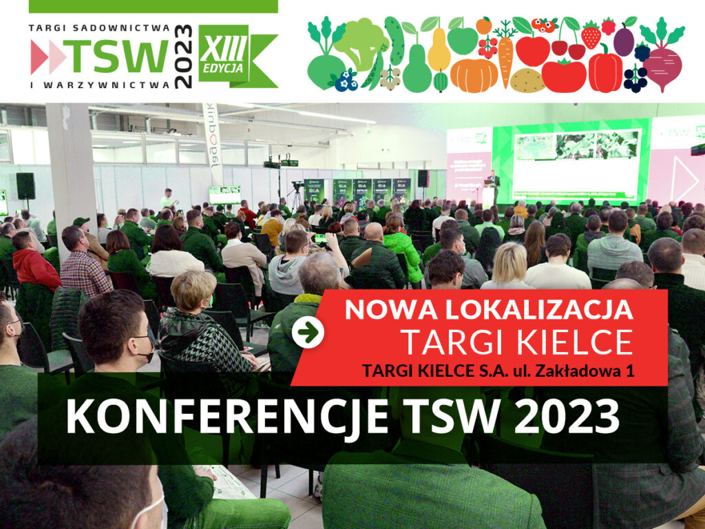 konferencje na targach TSW