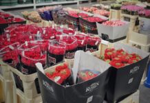 Różnokolorowe róże przygotowane to sprzedaży online