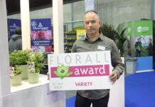 Karel Brosens z nagrodą za nagrodzoną złotym medalem różę Green Summer® na targach Florall w Belgii