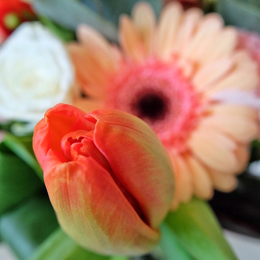 Zblizenie tulipana w bukiecie kwiatów