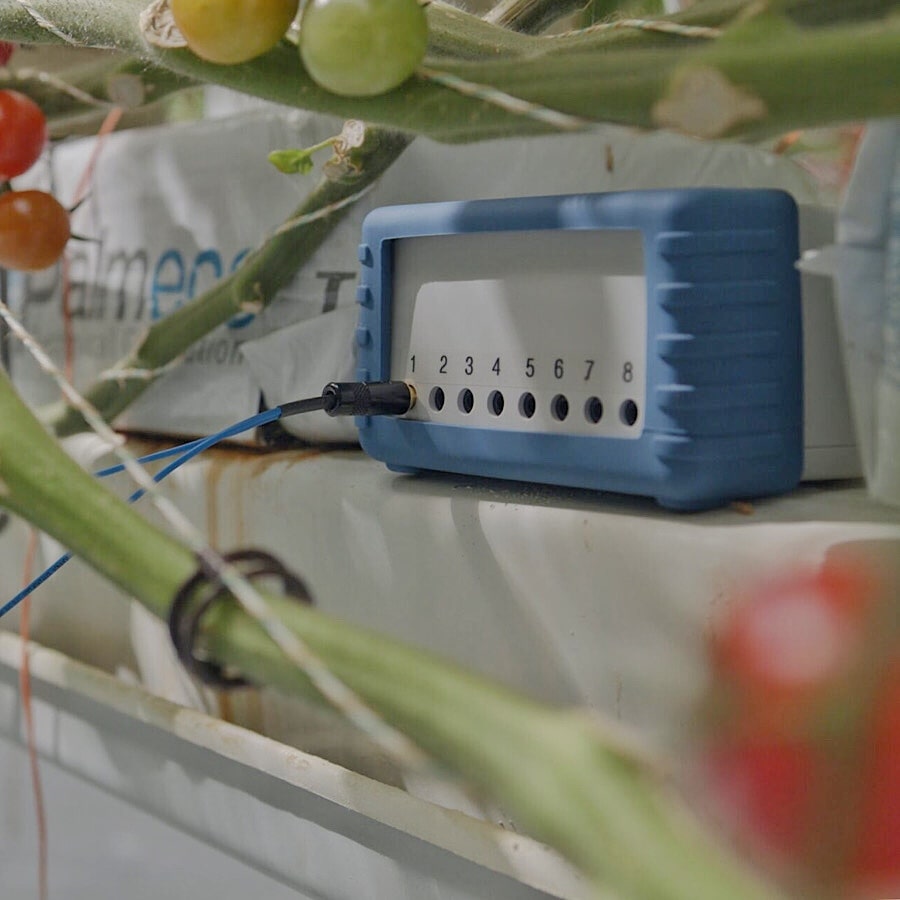 Monitorowanie roślin w czasie rzeczywistym - urządzenie odbierające sygnały elektryczne