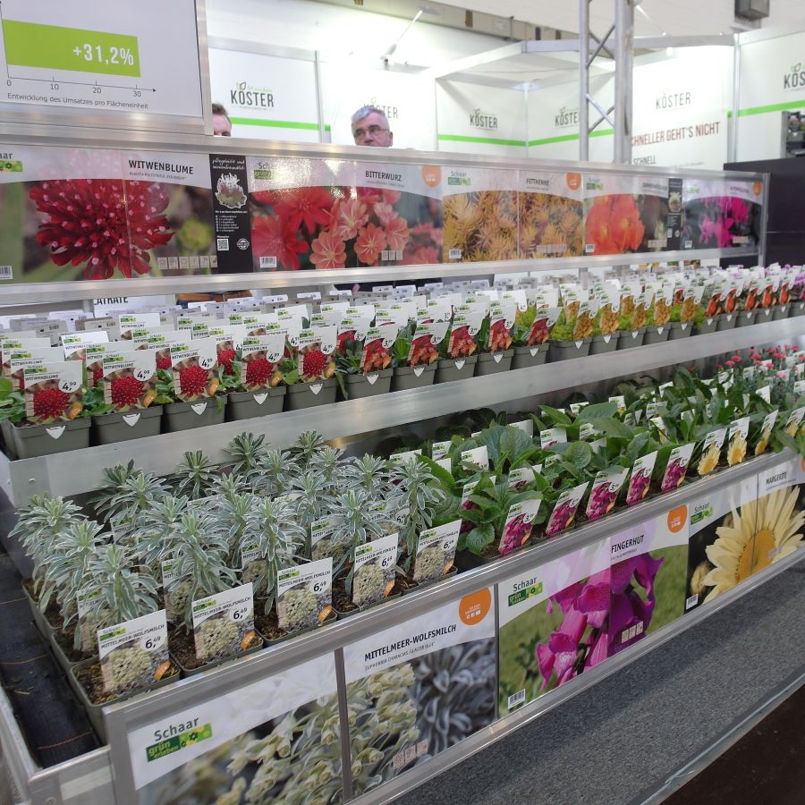 Jak atrakcyjnie zaprezentować byliny w punktach sprzedaży? Stół ekspozycyjny z bylinami w centrum ogrodniczym