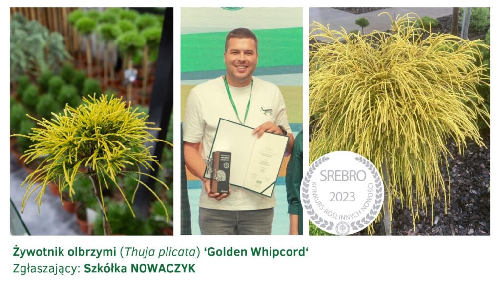 Nikodem Nowaczyk i żywotnik zachodni Golden Whipcord, zdobywca srebrnego medalu w Konkursie Roślinnych Nowości 2023