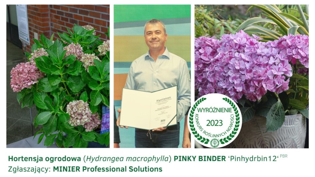 Olivier Pallusiere ze szkółki Minier z wyróżnieniem za hortensję ogrodową Pink Binder w Konkursie Roślinnych Nowości 2023