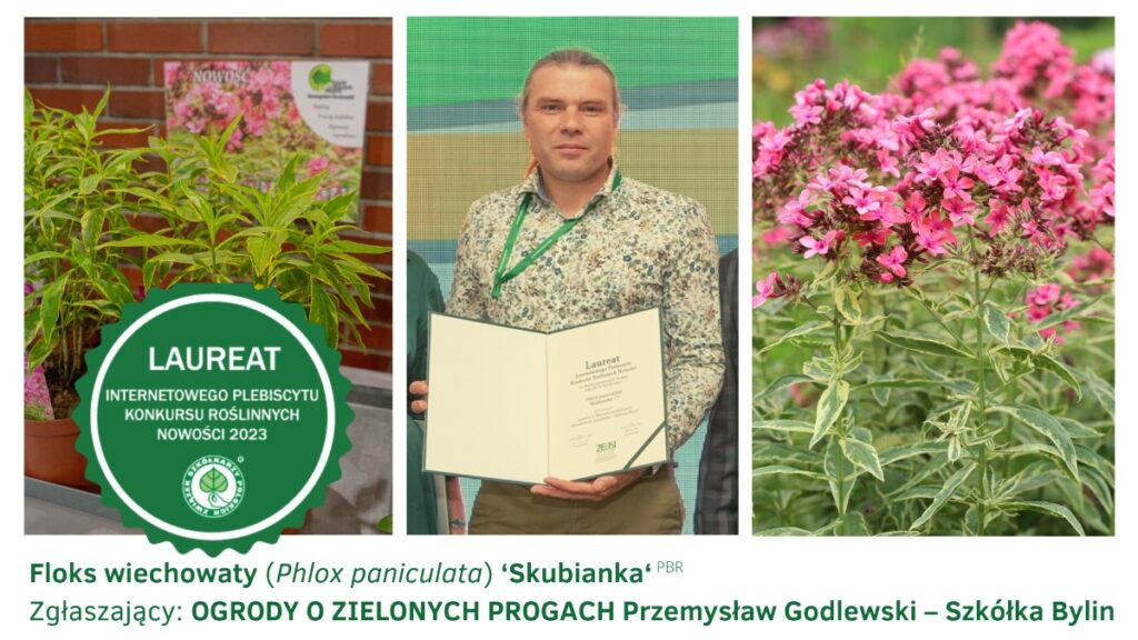 Przemysław Godlewski z wyróżnieniem dla floksa wiechowatego 'Skubianka' na Konkursie Roślinnych Nowości 2023