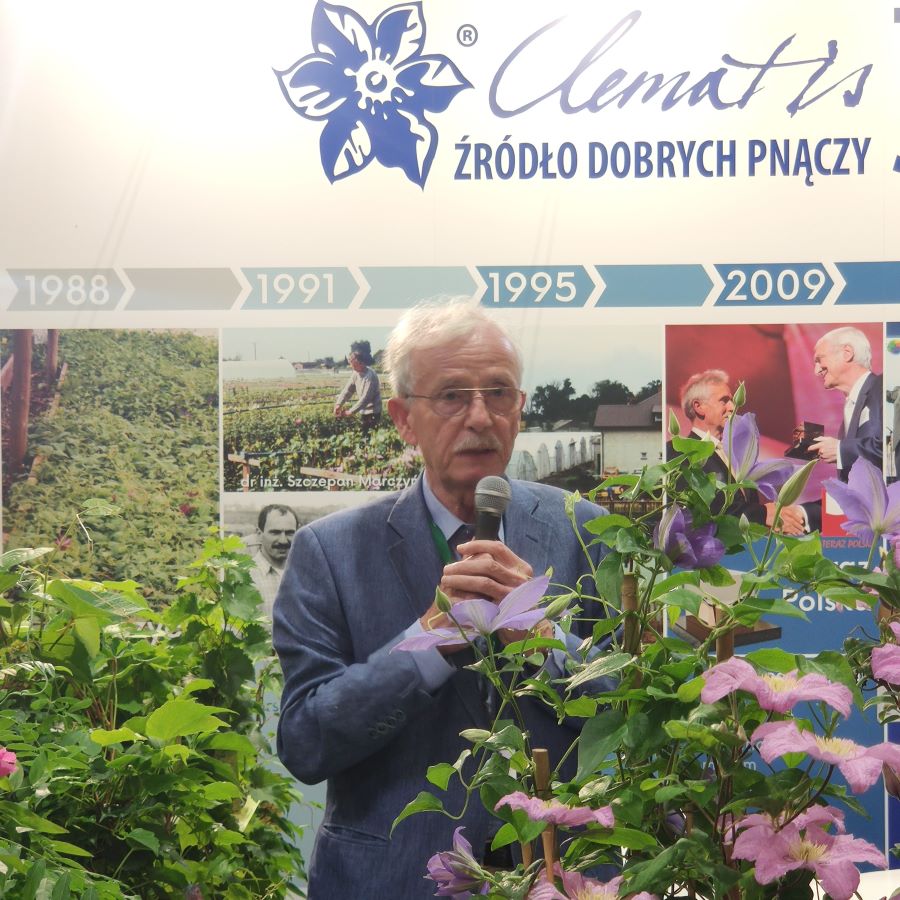 Szczepan Marczyński, współzałożyciel szkółki „CLEMATIS Źródło Dobrych Pnączy” i hodowca pnączy